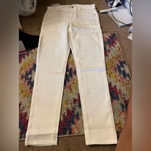 NWT joes jeans flawless icon mid rise skinny ankle 29